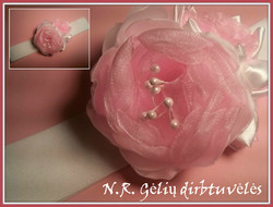 Galvajuostė GAL0027